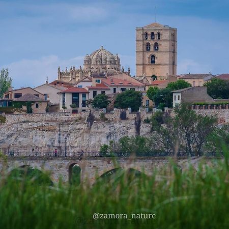 A Los Ojos Del Rio Duero Διαμέρισμα Θαμόρα Εξωτερικό φωτογραφία