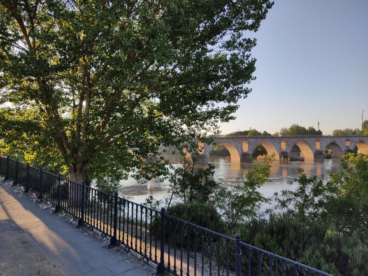 A Los Ojos Del Rio Duero Διαμέρισμα Θαμόρα Εξωτερικό φωτογραφία