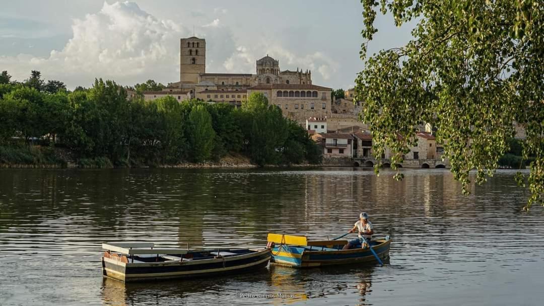 A Los Ojos Del Rio Duero Διαμέρισμα Θαμόρα Εξωτερικό φωτογραφία