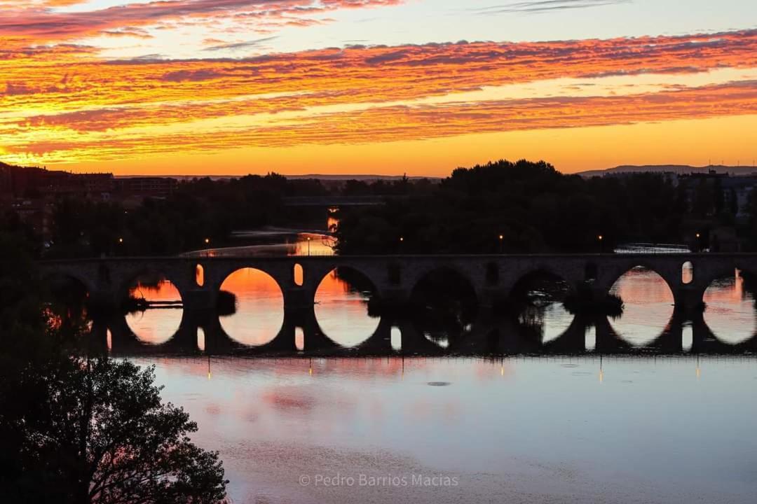 A Los Ojos Del Rio Duero Διαμέρισμα Θαμόρα Εξωτερικό φωτογραφία