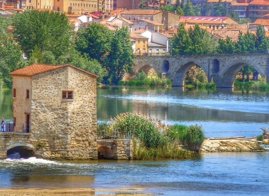 A Los Ojos Del Rio Duero Διαμέρισμα Θαμόρα Εξωτερικό φωτογραφία