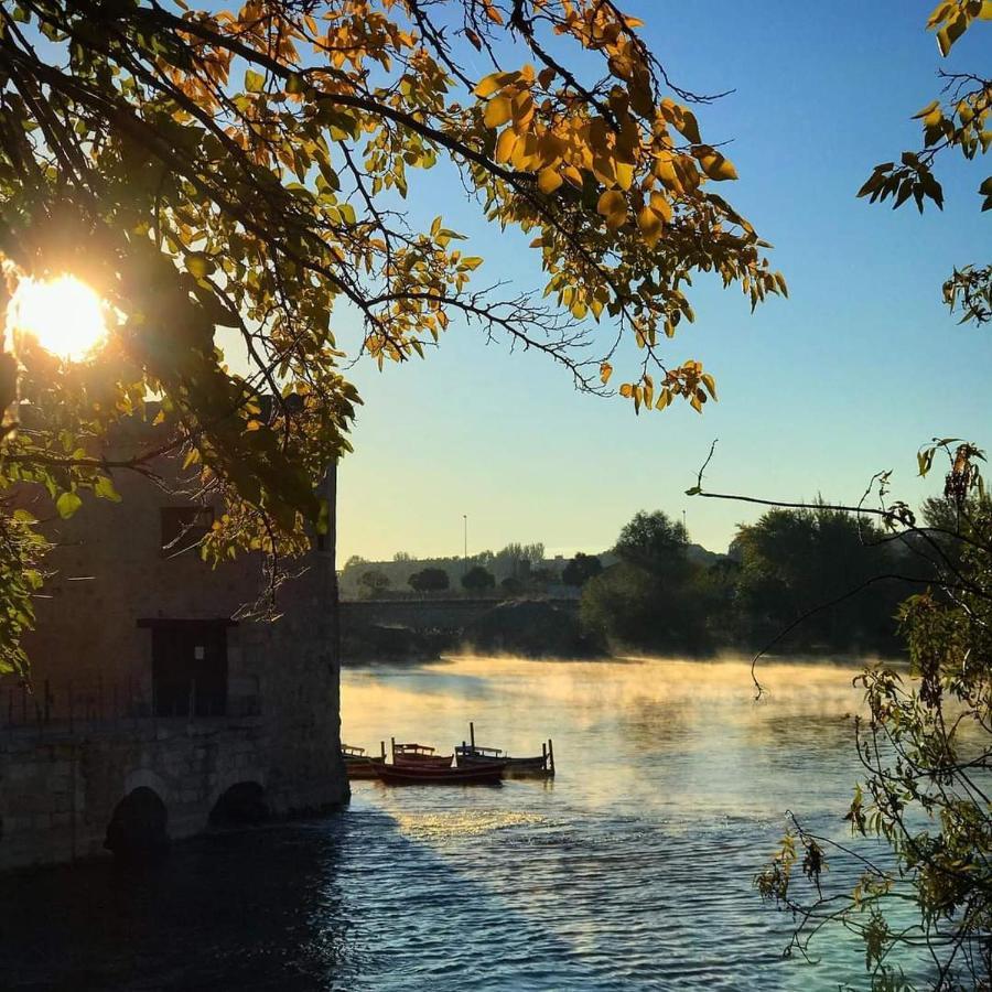 A Los Ojos Del Rio Duero Διαμέρισμα Θαμόρα Εξωτερικό φωτογραφία