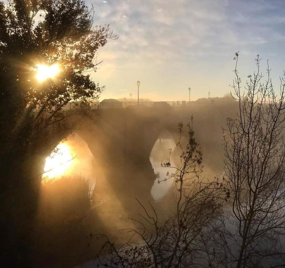 A Los Ojos Del Rio Duero Διαμέρισμα Θαμόρα Εξωτερικό φωτογραφία