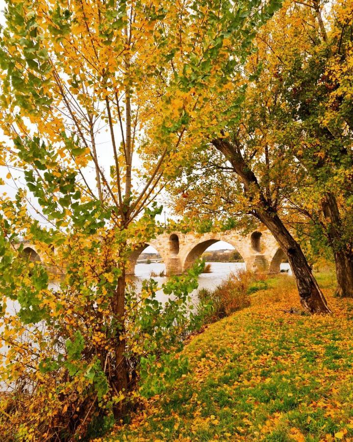 A Los Ojos Del Rio Duero Διαμέρισμα Θαμόρα Εξωτερικό φωτογραφία