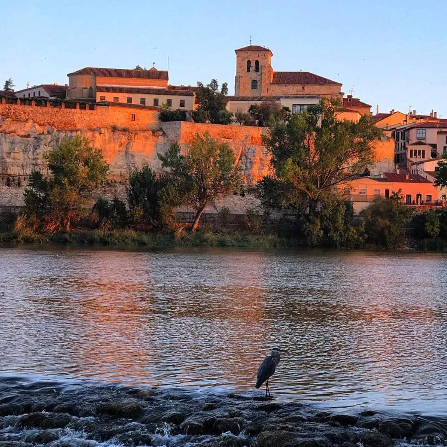 A Los Ojos Del Rio Duero Διαμέρισμα Θαμόρα Εξωτερικό φωτογραφία