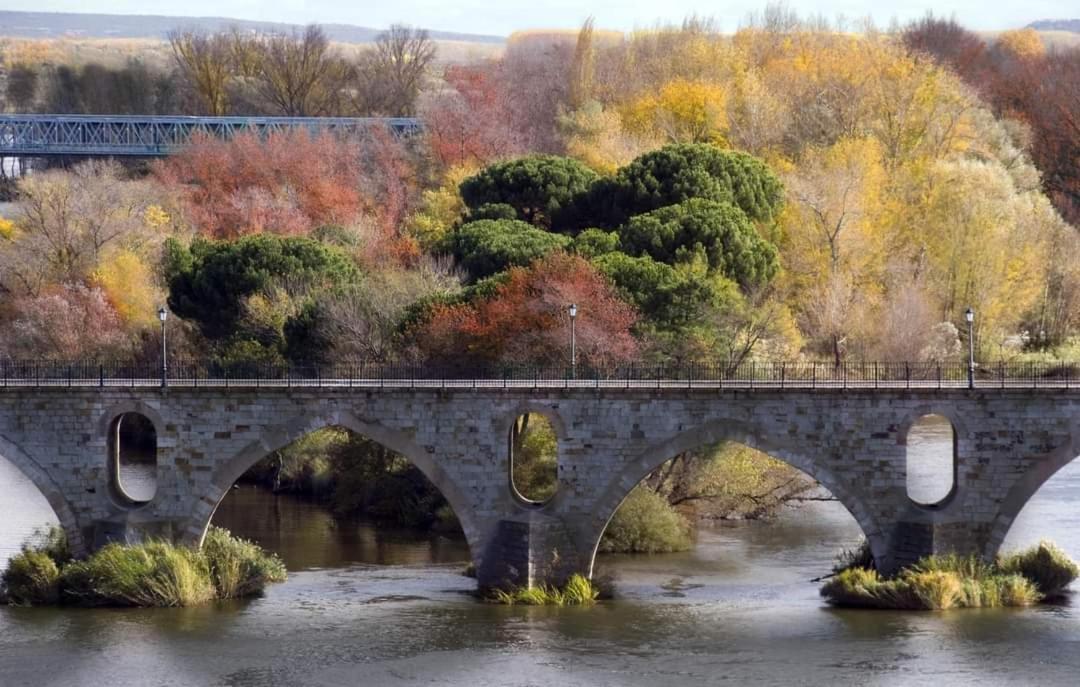 A Los Ojos Del Rio Duero Διαμέρισμα Θαμόρα Εξωτερικό φωτογραφία