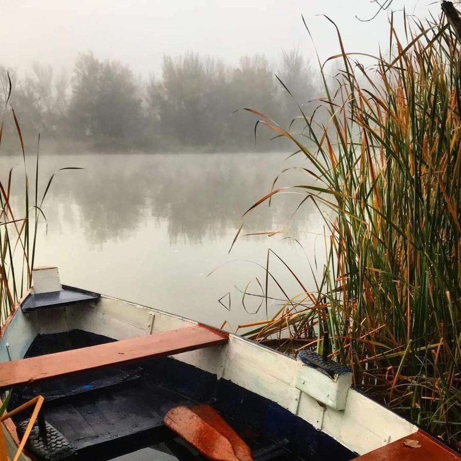 A Los Ojos Del Rio Duero Διαμέρισμα Θαμόρα Εξωτερικό φωτογραφία