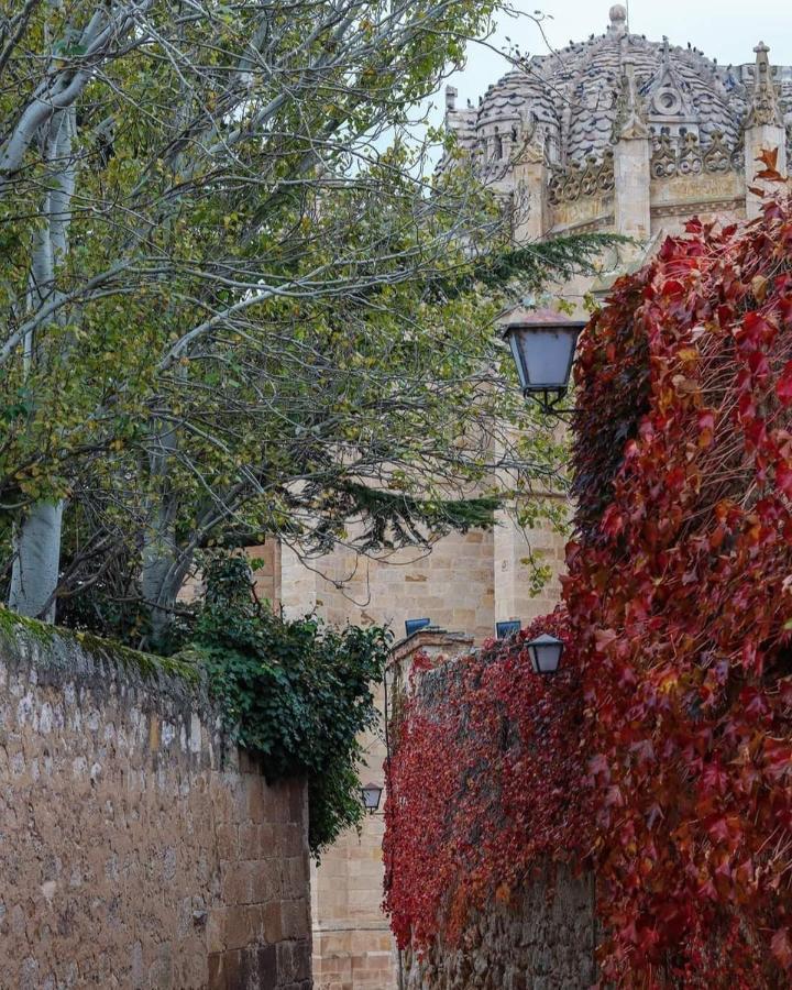 A Los Ojos Del Rio Duero Διαμέρισμα Θαμόρα Εξωτερικό φωτογραφία