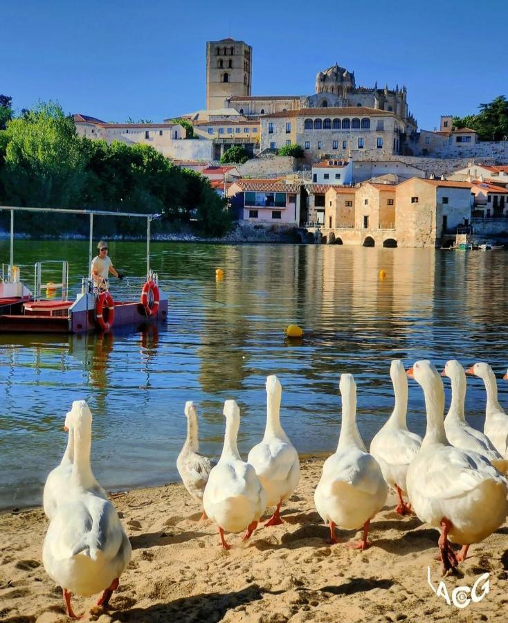 A Los Ojos Del Rio Duero Διαμέρισμα Θαμόρα Εξωτερικό φωτογραφία