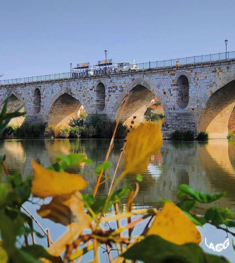 A Los Ojos Del Rio Duero Διαμέρισμα Θαμόρα Εξωτερικό φωτογραφία