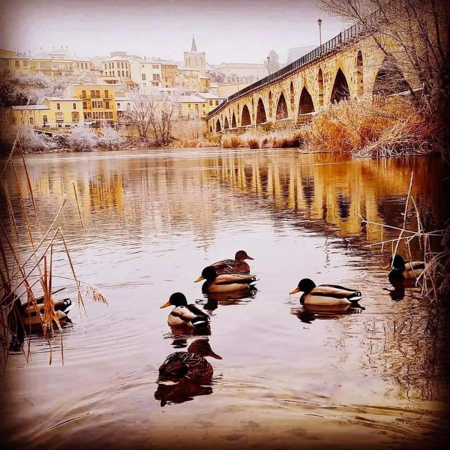 A Los Ojos Del Rio Duero Διαμέρισμα Θαμόρα Εξωτερικό φωτογραφία