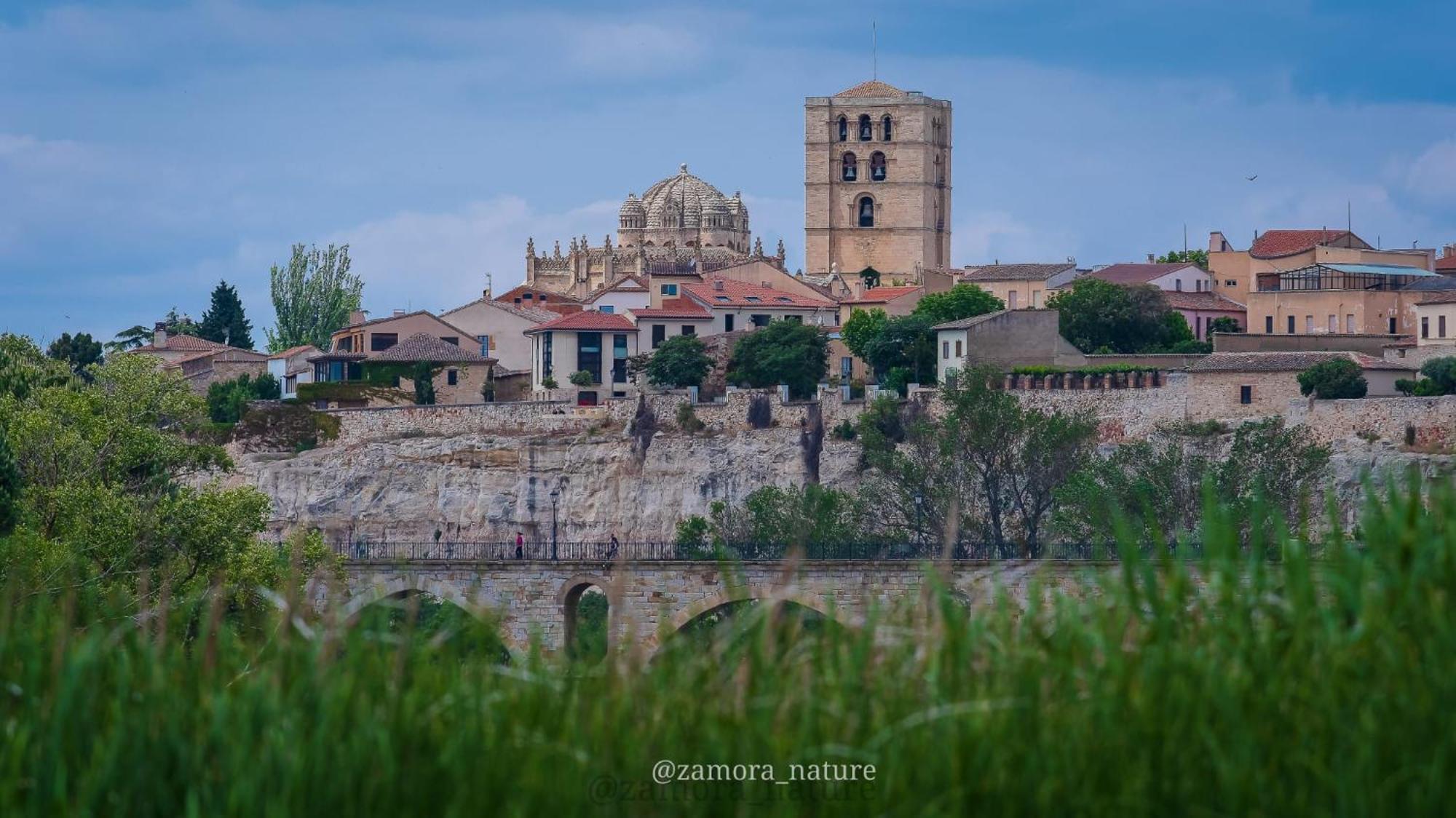 A Los Ojos Del Rio Duero Διαμέρισμα Θαμόρα Εξωτερικό φωτογραφία